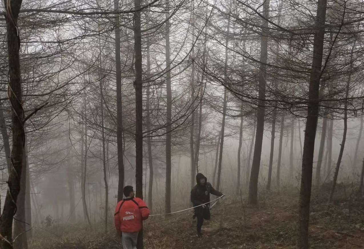 思南县许家坝镇林业调查项目